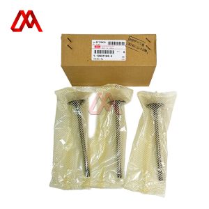 IZUMI 1-12551162-4 Inlet Valve 1125511624 FOR ISUZU CYZ 6WF1