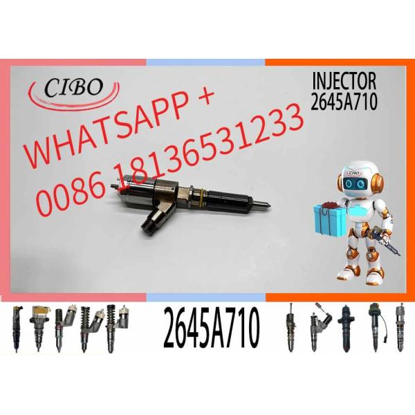 Diesel Engine Pump Car Fuel Injector 2645A710 2645A732 2645A744 For C6.6 Engine