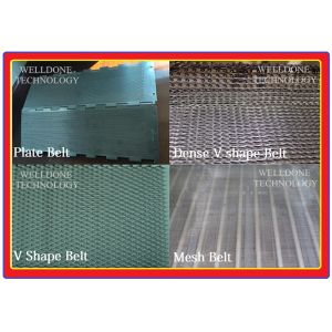 DWF Candied Fruit / Preserved Fruit / Confect Belt Dryer (Special Design)