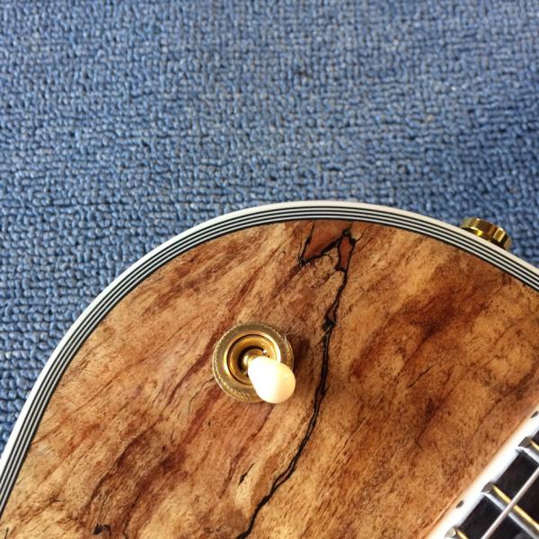 New high-quality custom LP electric guitar, Abalone Dinosaur inlaid fingerboard & body custom LP Electric guitar, free s