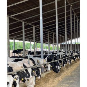 Buy cheap Weld Steel Structure Cow Shed Construction , Temporary Livestock Shelter from wholesalers
