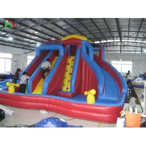 Buy cheap Double Lanes Accommodate Many People Small Or Big Full Size Jumbo Water Slide Inflatable Bounce from wholesalers