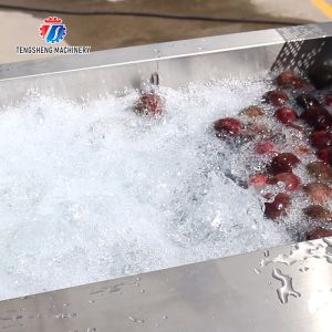 Buy cheap Fruit And Vegetable Wool Roller Bubble Cleaning Machine 1500KG/H from wholesalers