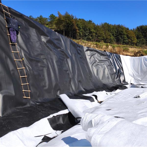 Buy cheap Outdoor Double Smooth Geomembrane for Fish Pond Liner and Landfill Sites Directly Sold from wholesalers