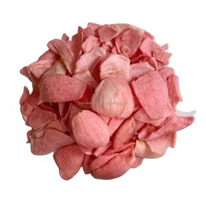 Buy cheap Fresh VF Vegetable Snacks Vacuum Fried Onion Slices for Wholesale OEM/ODM Onion Chips from wholesalers