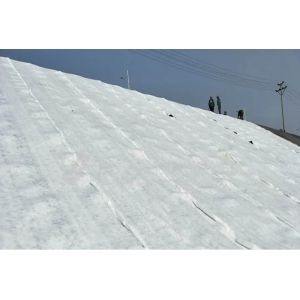 Biodegradable Geotextile Fabric for Garden and Agriculture Needle Punched