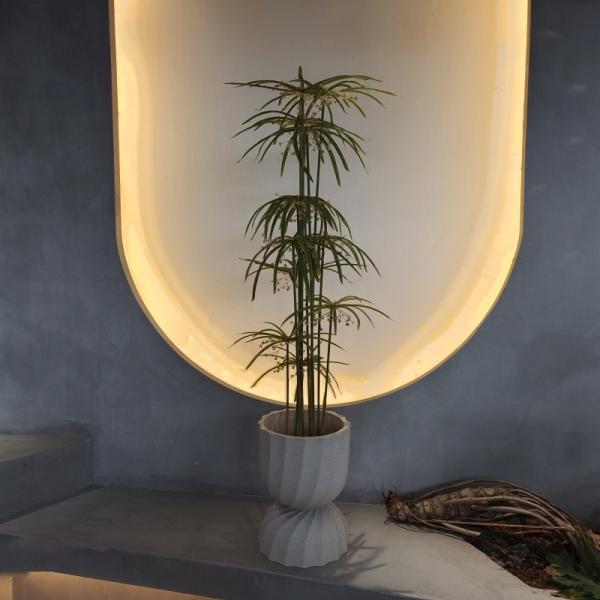 UV Resistant Plastic Faux Plants Artificial Graptopetalum Tree