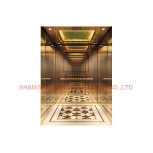 Private Pitless Home Passenger Elevator 3 Person 400kg With With Deceleration