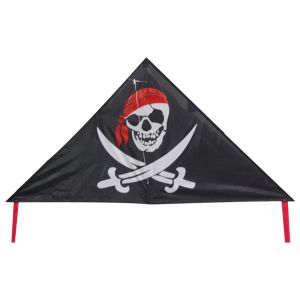 Buy cheap Pirate Pattern Delta Wing Kite Convenient Carry Easy Control Durable product