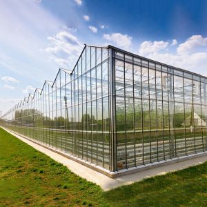 Buy cheap Agricultural Hydroponic System Multi-Span Venlo Glass Greenhouse Customized product
