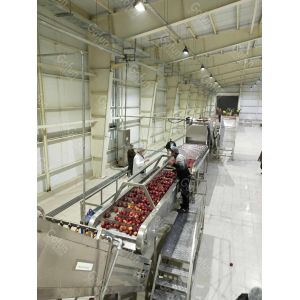 Stainless Steel 316 Apple Juice Processing Line 220V / 380V