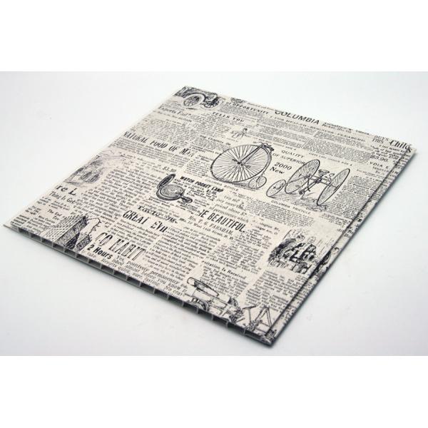 Quality Laminating Plastic Wall Covering Panels for sale