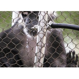 Buy cheap Primary Color X- Tend Animal Enclosure Mesh , Stainless Steel Zoo Mesh from wholesalers