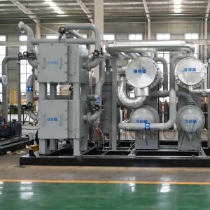 High Purity Automatic Hydrogen Gas Drying Machine With IP66 Certified