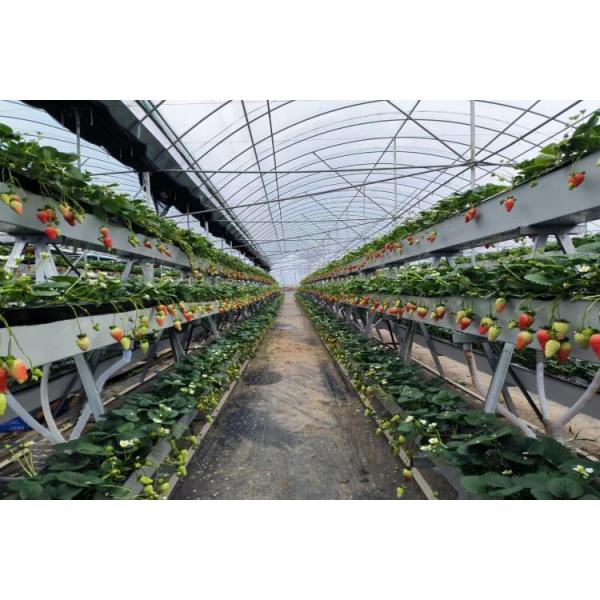 Buy cheap Indoor And Outdoor Hydroponic Planting Grow Troughs Plastic Trough For Hydroponics Strawberries from wholesalers
