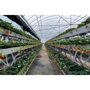Buy cheap Indoor And Outdoor Hydroponic Planting Grow Troughs Plastic Trough For Hydroponics Strawberries from wholesalers