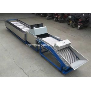 Automatic Garlic Sorting Machine with Brusher Cleaning Function