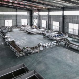 Customizable Stainless Steel Fruit and Vegetable Processing Machine for