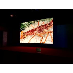 Buy cheap LED HD TV P1.9 High Refresh Frequency Of Super Low Power Consumption from wholesalers