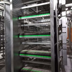 Buy cheap 0.3M Automated Poultry Equipment , Livestock / Poultry Manure Removal System from wholesalers