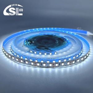 Easy Installation SMD 2835 120D 8mm 12000K Ra70 LED Light Strips for Bathroom
