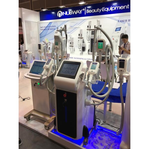 Buy cheap TGA Approved Australian client first Choice manufacturer 4 handle best cryolipolysis machine from wholesalers
