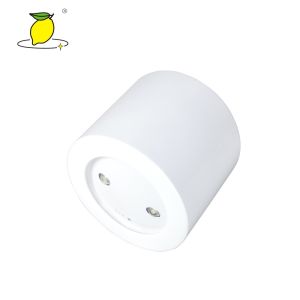 Buy cheap White Surface Mounted 2w Emergency LED Downlight IC Control from wholesalers