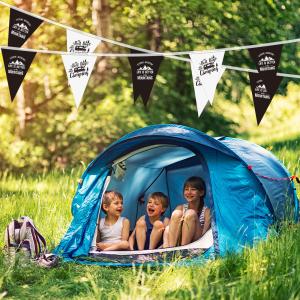 Buy cheap Triangle String Camping Flag Pull Flag Sky Curtain Campsite from wholesalers