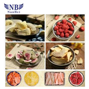 Refrigerated Lab Freeze Dryer Research Lab Equipment 750 W Power