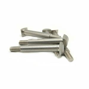 Manufacturers Customized Stainless Steel T-Shaped Step Screws T-Shaped Bolt With