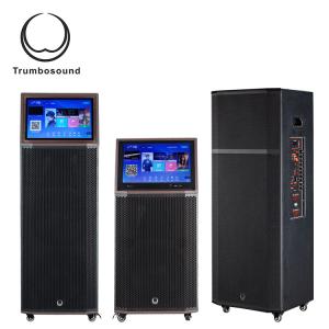 15 Inch Multifunction Mobile Speaker With Wheels Guitar Trolley Loudspeaker