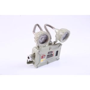 Wall Mounted Explosion Proof Emergency Light With 1CCT80 Mins emergency time
