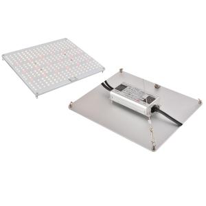 Buy cheap High Power Samsung LM301B 660nm Optic Grow Lights from wholesalers