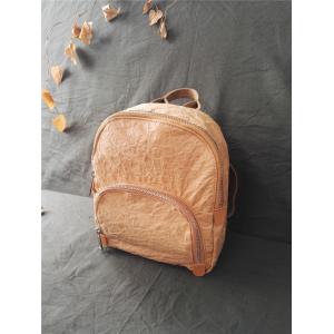 China dupont backpack, tyvek backpack, leisure backpack, recycling backpack on sale