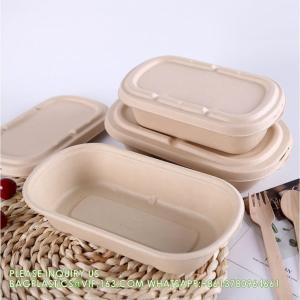 Wholesale Sugarcane Bagasse Pulp Lunch Box Takeaway Food Container Diaposiable
