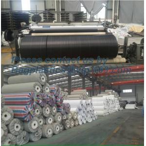 Water management weeb control pavement preservation courtyard beautify anti