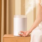 Buy cheap Essential Oils Diffuser Decorative Scent Diffusers for Home and Office from wholesalers