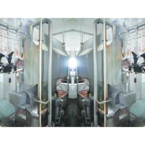 Buy cheap Customized Slaughter Line for Poultry Chicken Duck Goose Poultry Processing Equipment from wholesalers