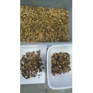 Buy cheap Automatic Walnut Color Sorter Processing Machine RGB Sorting Machine Cashew Nut Color Sorting Machine from wholesalers