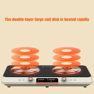 Intense Fire Function Electric Induction Cooker with Touch Buttons and NO App