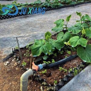 Buy cheap Custom Modern Sunlight Greenhouse Double Layer for Mushroom Planting Requirements from wholesalers