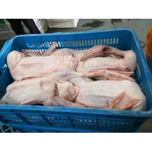 Buy cheap Chicken Goose Turkey Duck Slaughter Machine 1000BPH Poultry Processing Machine from wholesalers