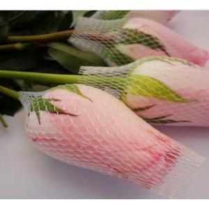 Buy cheap White Extruded Protective Netting Sleeve For Rose Flower from wholesalers