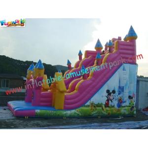 Cute Mickey Mouse Commercial Inflatable Slide / Customized Inflatable Zip Slide