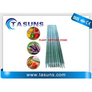 Pultruded 6 ft Heavy Duty Fiberglass Fence Posts For Tomato Cage Posts Supports