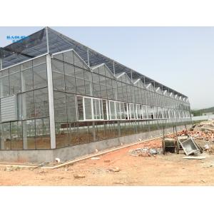 China Agricultural Tempered Glass Venlo Type Greenhouse With 48mm Column on sale