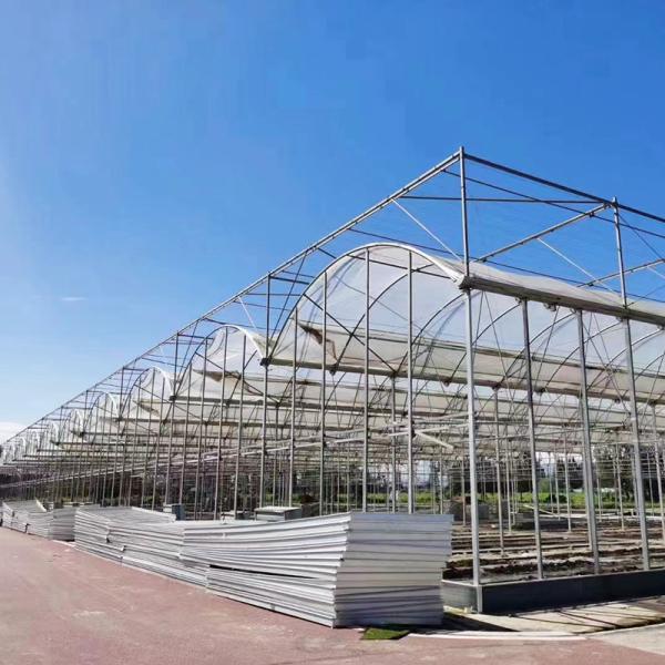Quality Multi-span Agricultural Poly Tunnel Greenhouse With UV Resistant Plastic for sale