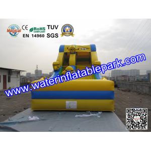 Inflatable Water Slide For Amusement Park / Inflatable Pool Slide
