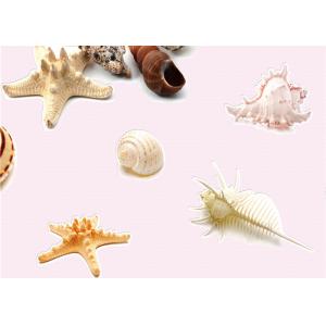 Buy cheap Eco-Friendly Mediterranean Style Non-Woven Wallpaper With Conch And Starfish Printing from wholesalers
