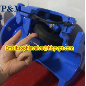 DIN PN10 PN16 Swing check valve